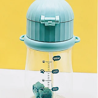 Tritonic Rudy Water Bottle with Straw & Strap (450 ml) - Mint